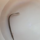 타이어 트랙 이미지