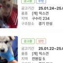 이성준동물병원 이미지