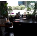 마뜨아밈 이미지