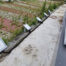 (유)금강대형 이미지