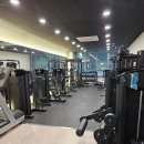 머슬원핏 배곧신도시점 이미지