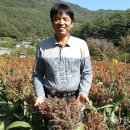 보발농장 이미지