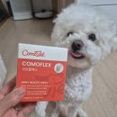 우리강아지 | 꼬모플렉스 체험 후기 🐶 우리 강아지 관절 관리 시작했어요.