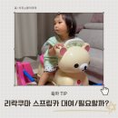 붕붕종합카 | 리락쿠마 스프링카 구매 대여방법 사용하는 시기는 언제일까