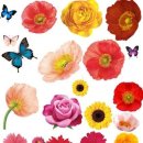 스티커포토샵 이미지