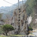 무릉도원면-46 이미지