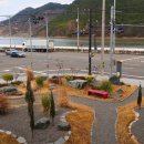 옥진로 | 매화축제 가기 전·후 들르기 좋은 광양 카페 #초입커피 #옥실애 후기