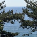 스테이올라 이미지