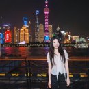 하쿠나마타타 이미지