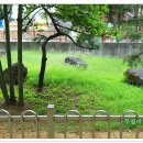 사월동 지석묘군 이미지