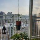 종촌동_가재303동앞 이미지