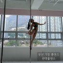 부산 기장 폴댄스 &#39;컨택폴댄스&#39;, 벚꽃 뷰 오픈폴 (feat. 예약방법)