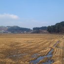 산정마을농로 이미지