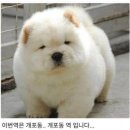 이룸다이어트