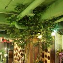 달콤한 나무 이미지