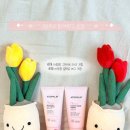 우리두리이벤트 | ꒰ 이벤트 당첨 ꒱ 우리두리 함께박스 당첨 후기 및 신청방법