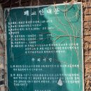 아라리인형의집 인형극박물관 | [강원도] DAY 1. 정선 아라리 인형의집｜인형극박물관｜정선가볼만한곳｜인형 박물관 관람시간｜