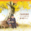 달달꿈