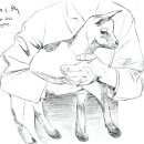 박은영농장 이미지