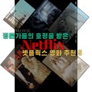 한나그린힐 요양원 | [넷플릭스 영화 추천 5편] 평균 평점 8점 이상 평론가들의 호평을 받은 작품들