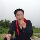 용신포도