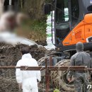 박정호농장(1농장) 이미지