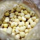 비어오크 이미지