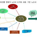 금비노동조합 이미지