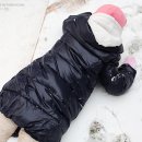 데굴데굴 이미지