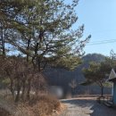 사람과자연 | 영월 애견동반 숙소 추천, 사람과 자연 펜션 솔직 후기