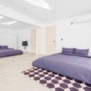 프라이빗핑크트리 이미지