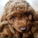 남창원동물병원 이미지