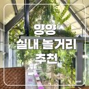 버등들 | 양양 실내 놀거리 추천