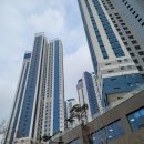 해운대 비스타동원 앞 이미지