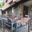 니드포펫 이미지