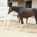 유정목장-2 이미지