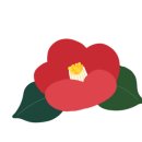 온기청과 이미지