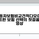 자동차보험비교견적다모아 - 스마트한 보험 선택의 첫걸음