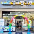 세종크린