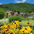 무주펜션선앤문 이미지