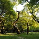 계림주유소 이미지