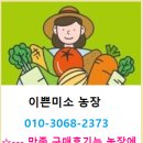 (예약받습니다) 제일 맛있는~ 유럽샐러드 // 무료배송 이미지