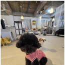 어뮤즈 호텔 이미지