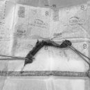 로하동물병원 이미지