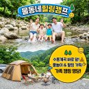 물동네힐링캠프 완벽 가이드 - 계곡 파쇄석 명당 번호부터 주변 수목원·맛집 코스까지