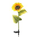 해바라기태양광 이미지