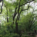 도봉-도봉-서울도봉-2514 이미지