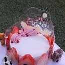 댕냥키친 이미지