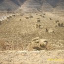 태훈농장 이미지