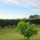 애월 밤별 | 애월글램핑 별헤는밤글램핑 제주 서쪽코스 감성숙소